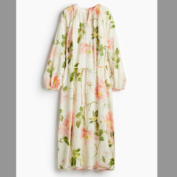 H&M Balloon Sleeve Dress - Picture 4 of 5